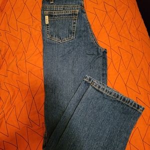 Cinch 10 Slim Jeans